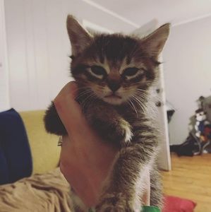 Meet your Posher, Brianna